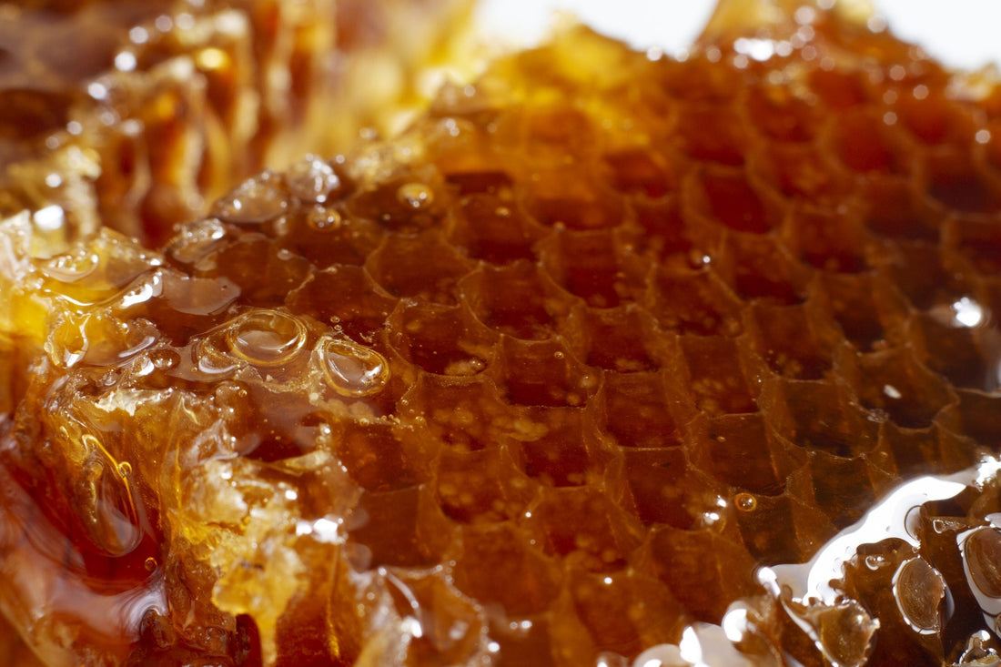 Top 10 Best Honey Brands You Can Buy Online in 2026