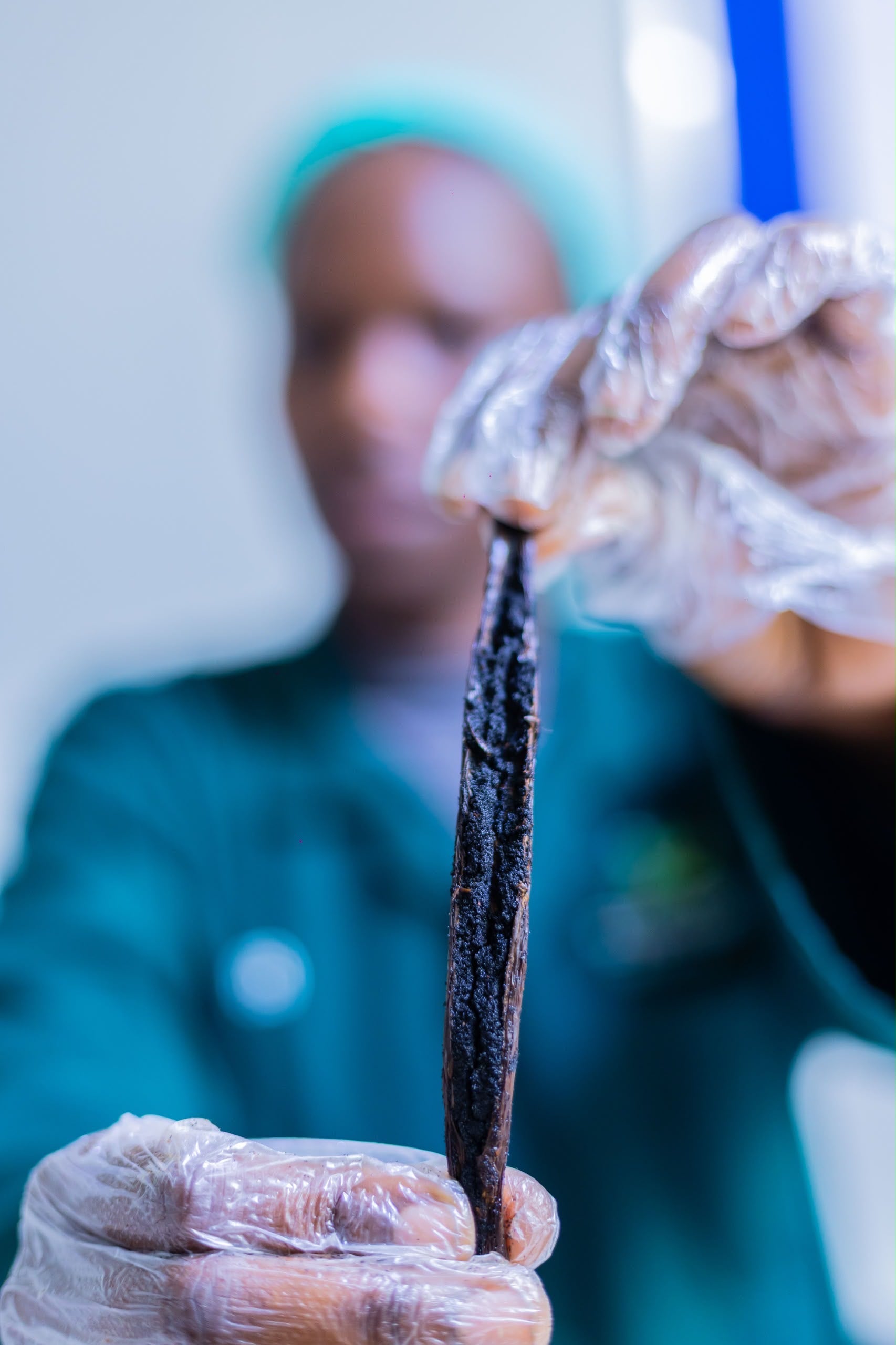 Ugandan Vanilla Caviar Seeds – Rwenzori Mountains 30g (Available Soon Pre Order Available)