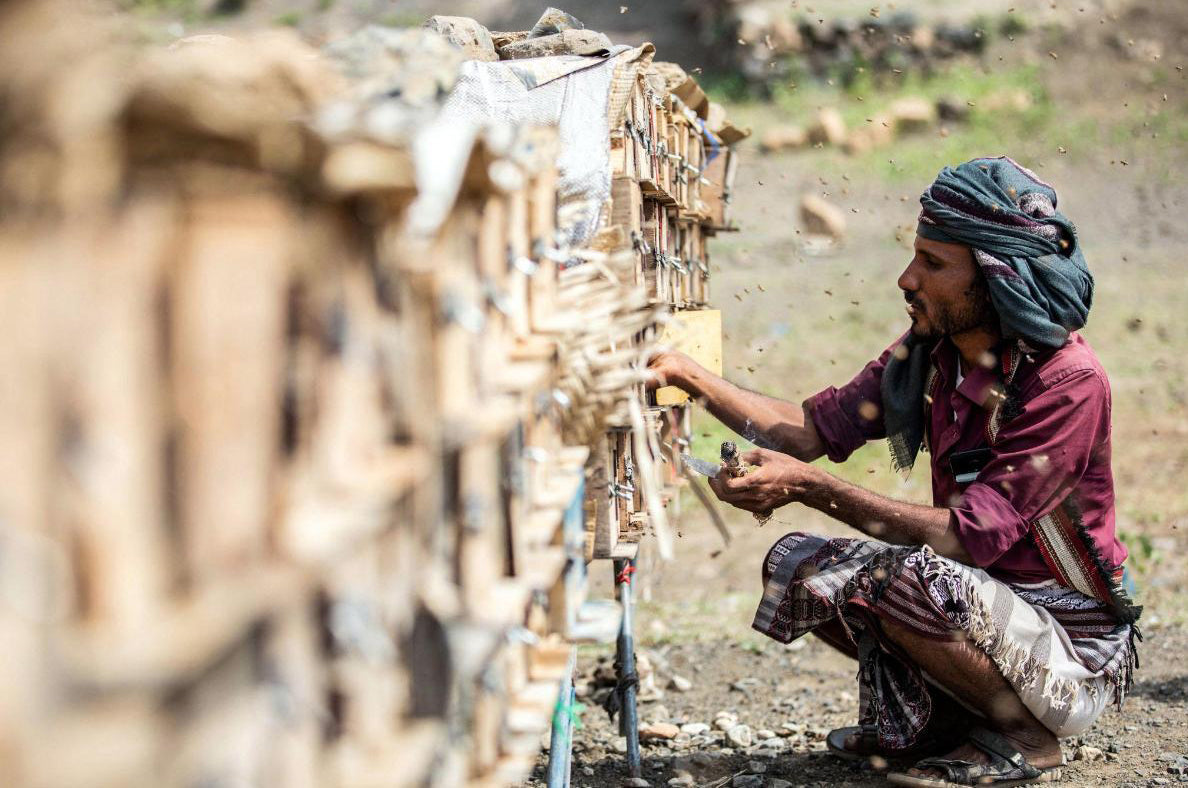 Man working with wooden crates in a rural setting

