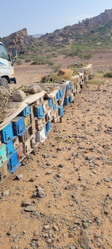 Row of wooden crates with blue lids on a dirt road in a mountainous area.

