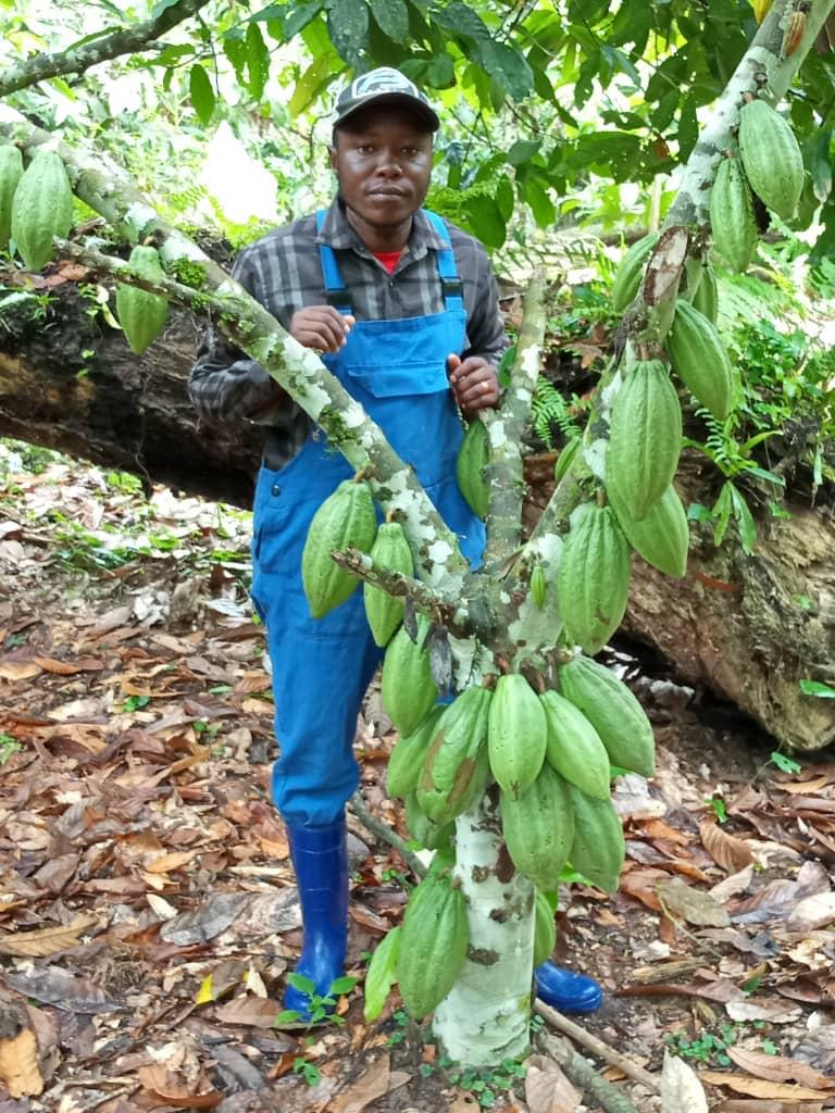 Cacao Nibs (Uganda)
